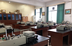 1617870621847057193.png image.png