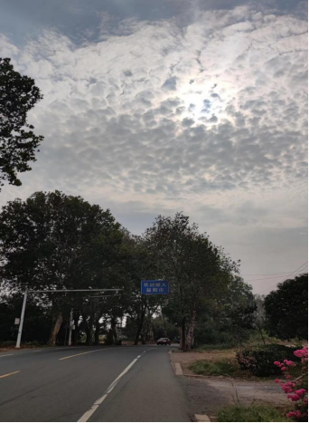 1663211131129067995.png image.png